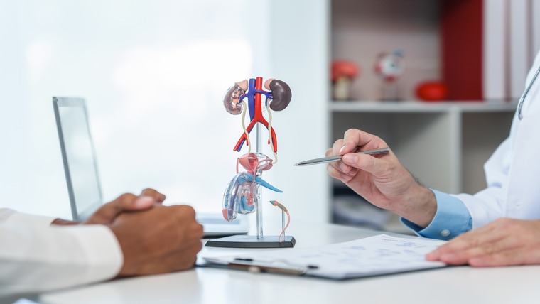 Urology