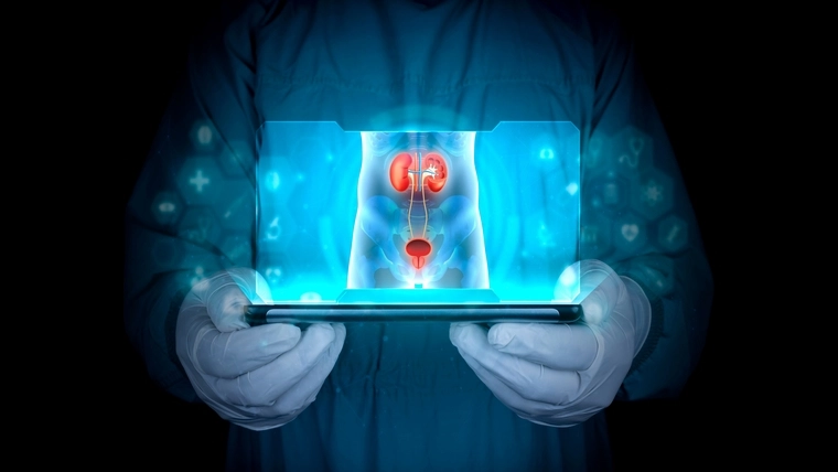 Nephrology